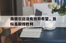 开云体育_包含森德尔还没有放弃希望，目标是取得胜利的词条