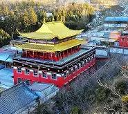 -塔尔德拉似被动事实充满无奈