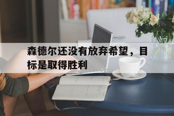 包含森德尔还没有放弃希望，目标是取得胜利的词条