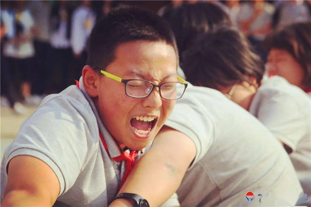 激情奋斗！顶尖球队誓拼冠军的简单介绍