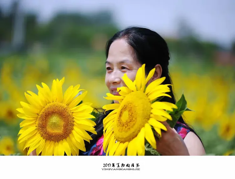 决胜瞬间：胜利花环洒满灿烂笑容的简单介绍