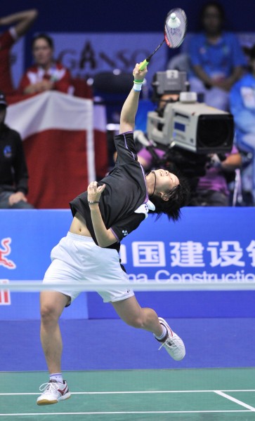 马来西亚队绝杀丹麦队，戴资颖点燃赛场的简单介绍